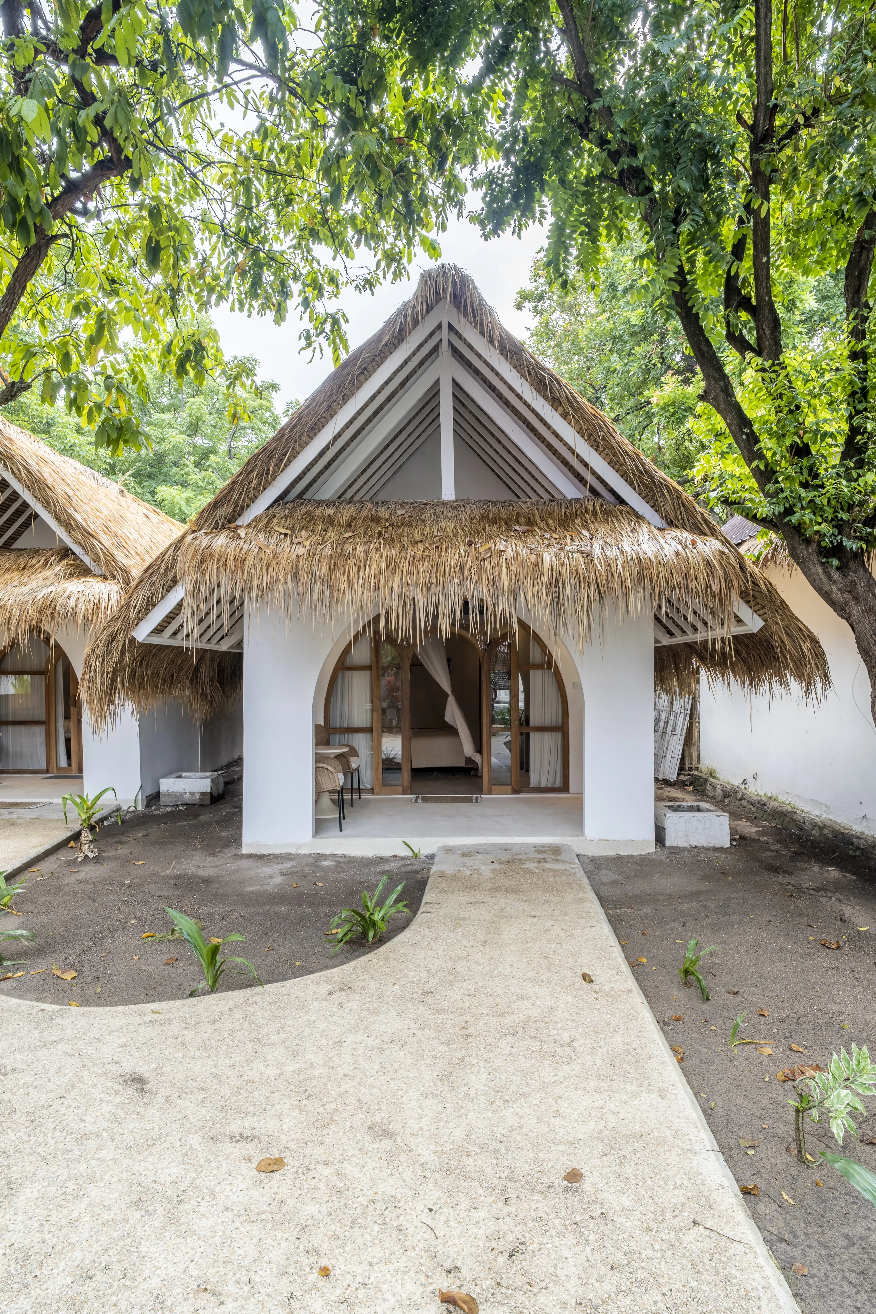 Tropical garden walkway